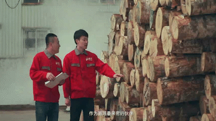 從一張板材到千萬(wàn)家 兌現(xiàn)生活的美好