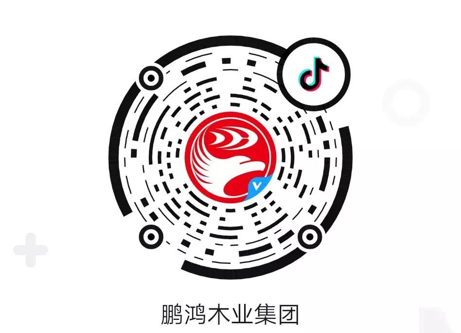 這廂有禮丨這個春節(jié)我最鴻，抖音相伴幸福年
