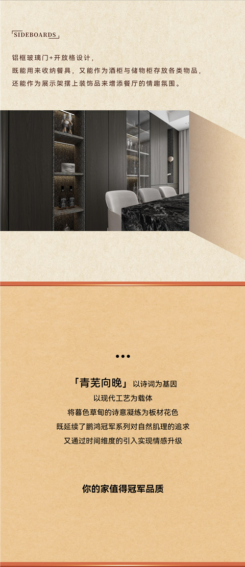 輕奢酒柜柜門(mén)設(shè)計(jì)